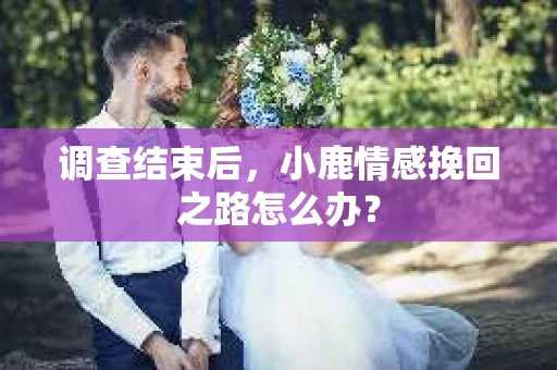 调查结束后，小鹿情感挽回之路怎么办？