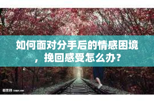 如何面对分手后的情感困境，挽回感受怎么办？
