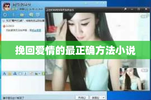 挽回爱情的最正确方法小说