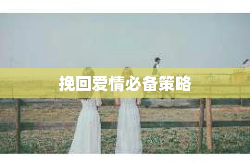 挽回爱情必备策略