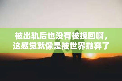 被出轨后也没有被挽回啊，这感觉就像是被世界抛弃了一样。我曾经也经历过这样的事情，那种心如刀割的痛，至今仍记忆犹新。今天，我想和大家聊聊这个话题，希望能给那些正在经历或者曾经经历过类似痛苦的人一些安慰和帮助。