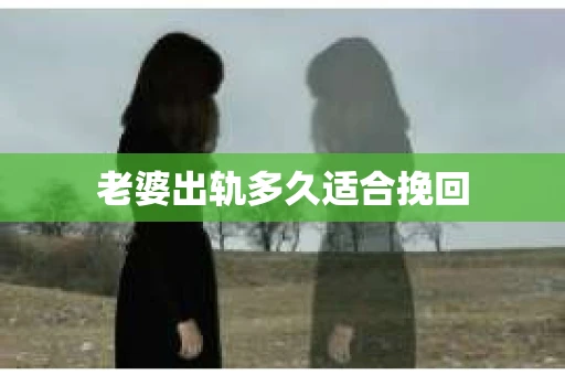 老婆出轨多久适合挽回