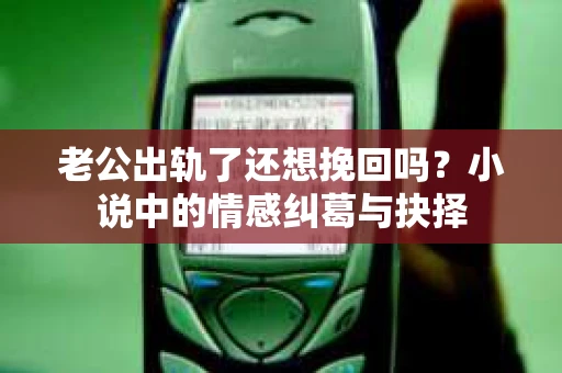 老公出轨了还想挽回吗？小说中的情感纠葛与抉择