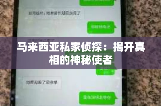 马来西亚私家侦探：揭开真相的神秘使者