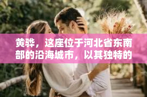 黄骅，这座位于河北省东南部的沿海城市，以其独特的地理位置和丰富的历史文化而闻名。然而，在这座城市中，还有一群人，他们以另一种方式默默守护着社会的公平与正义——私家侦探。今天，我们就来聊聊黄骅的私家侦探，看看他们是如何在这个城市中发挥作用的。