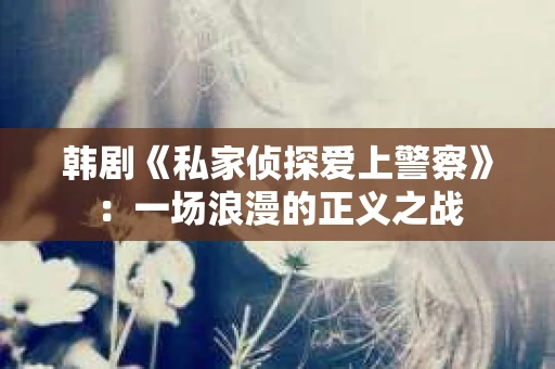 韩剧《私家侦探爱上警察》：一场浪漫的正义之战