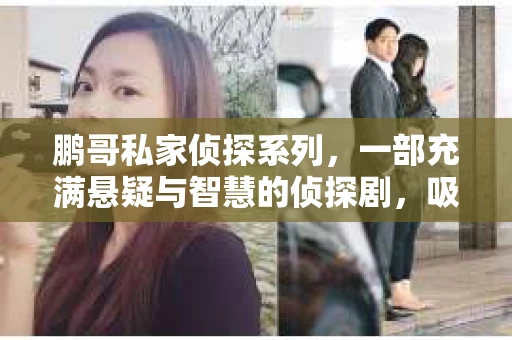 鹏哥私家侦探系列，一部充满悬疑与智慧的侦探剧，吸引了无数观众的眼球。今天，就让我带你走进这个充满神秘色彩的侦探世界，一起在线观看鹏哥私家侦探系列，感受那扣人心弦的故事情节。