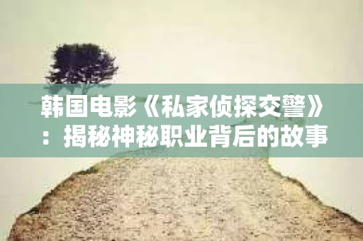 韩国电影《私家侦探交警》：揭秘神秘职业背后的故事
