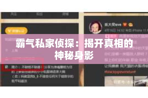 霸气私家侦探：揭开真相的神秘身影