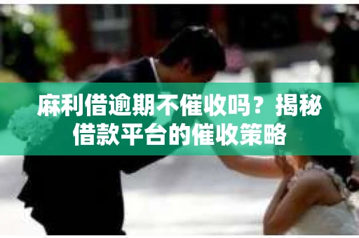 麻利借逾期不催收吗？揭秘借款平台的催收策略