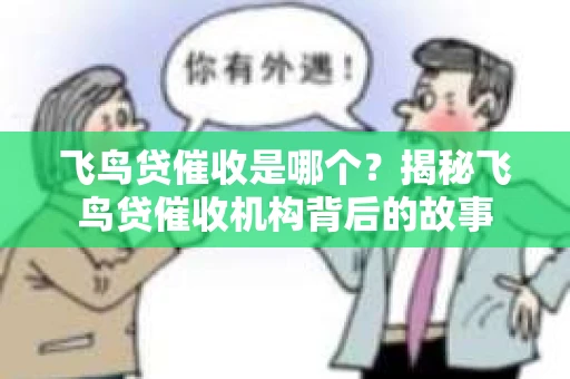飞鸟贷催收是哪个？揭秘飞鸟贷催收机构背后的故事