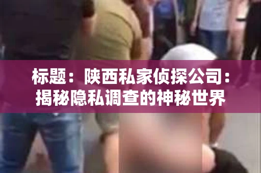 标题：陕西私家侦探公司：揭秘隐私调查的神秘世界