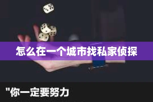 怎么在一个城市找私家侦探