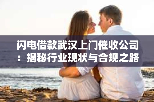 闪电借款武汉上门催收公司：揭秘行业现状与合规之路