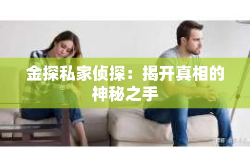 金探私家侦探：揭开真相的神秘之手