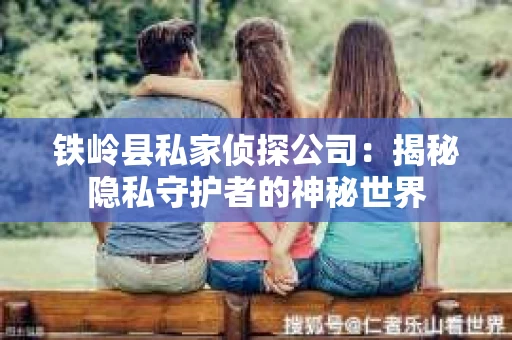 铁岭县私家侦探公司：揭秘隐私守护者的神秘世界