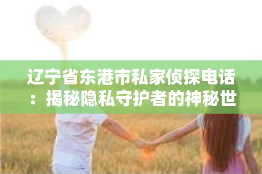 辽宁省东港市私家侦探电话：揭秘隐私守护者的神秘世界