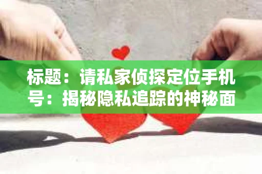 标题：请私家侦探定位手机号：揭秘隐私追踪的神秘面纱
