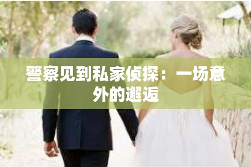 警察见到私家侦探：一场意外的邂逅