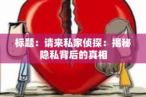 标题：请来私家侦探：揭秘隐私背后的真相