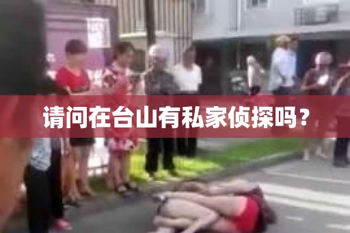 请问在台山有私家侦探吗？