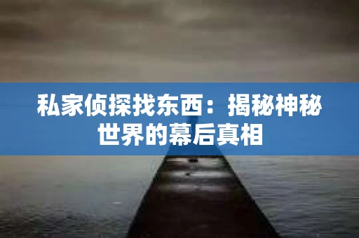 私家侦探找东西：揭秘神秘世界的幕后真相