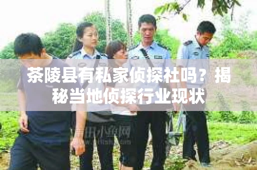 茶陵县有私家侦探社吗？揭秘当地侦探行业现状