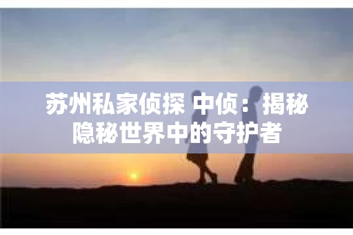 苏州私家侦探 中侦：揭秘隐秘世界中的守护者