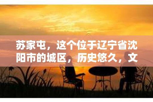 苏家屯，这个位于辽宁省沈阳市的城区，历史悠久，文化底蕴深厚。近年来，随着社会的发展，人们对于私家侦探的需求也逐渐增加。那么，苏家屯有私家侦探吗？今天，我们就来聊聊这个话题。