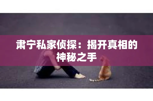肃宁私家侦探：揭开真相的神秘之手