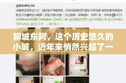 聊城东阿，这个历史悠久的小城，近年来悄然兴起了一股新的服务潮流——私家侦探。今天，我们就来聊聊这个话题，看看在聊城东阿，私家侦探是如何成为人们生活中的一部分的。