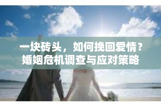 一块砖头，如何挽回爱情？婚姻危机调查与应对策略