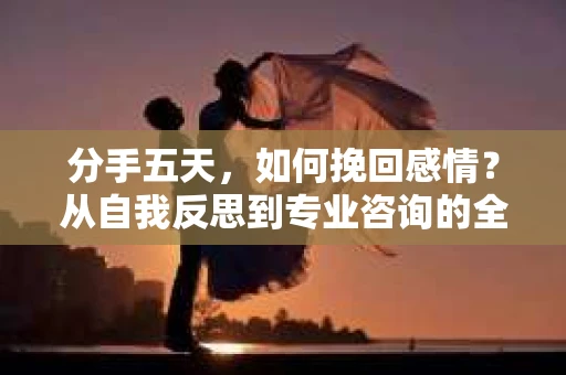 分手五天，如何挽回感情？从自我反思到专业咨询的全面解决方案