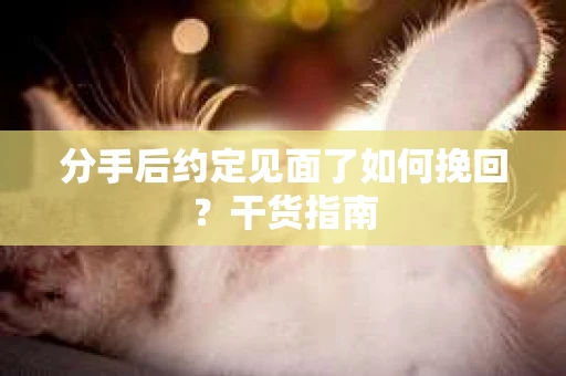分手后约定见面了如何挽回？干货指南