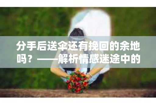 分手后送伞还有挽回的余地吗？——解析情感迷途中的决策