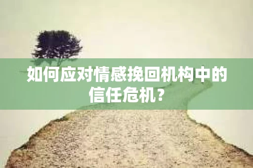如何应对情感挽回机构中的信任危机？