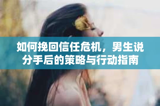 如何挽回信任危机，男生说分手后的策略与行动指南