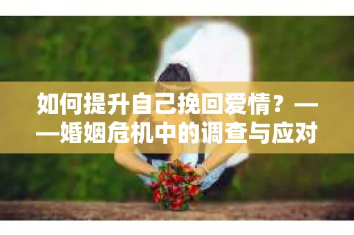 如何提升自己挽回爱情？——婚姻危机中的调查与应对策略