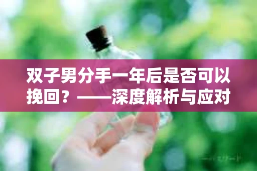 双子男分手一年后是否可以挽回？——深度解析与应对策略