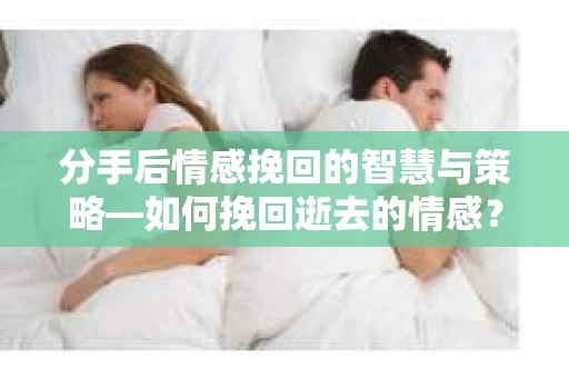 分手后情感挽回的智慧与策略—如何挽回逝去的情感？
